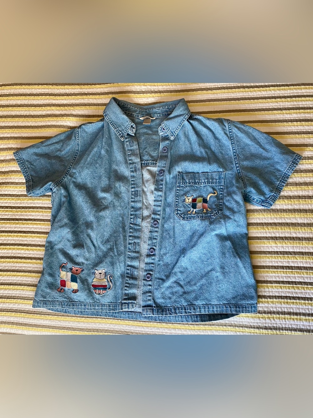 Christopher & Banks button up